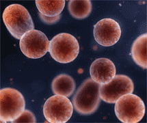 Life sciences